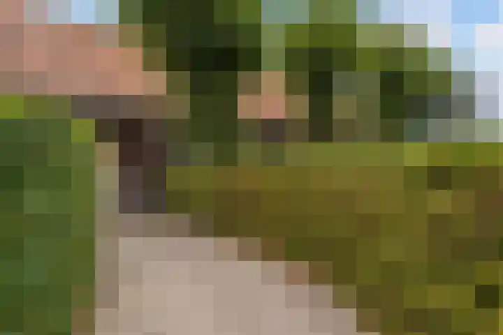 Wilhelminastraat 6 Stramproy thumbnail 6
