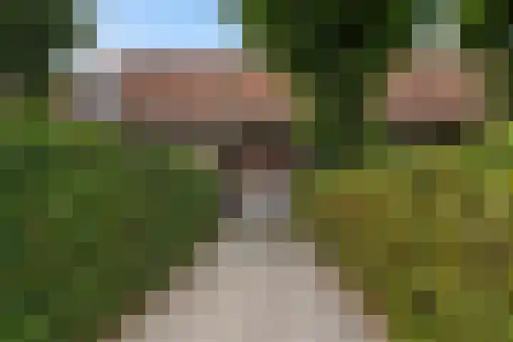 Wilhelminastraat 6 Stramproy thumbnail 7