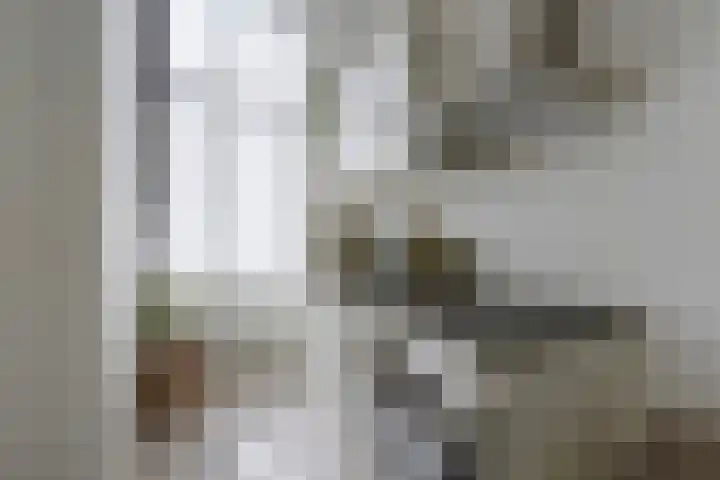 Wilhelminastraat 60 Bodegraven thumbnail 14