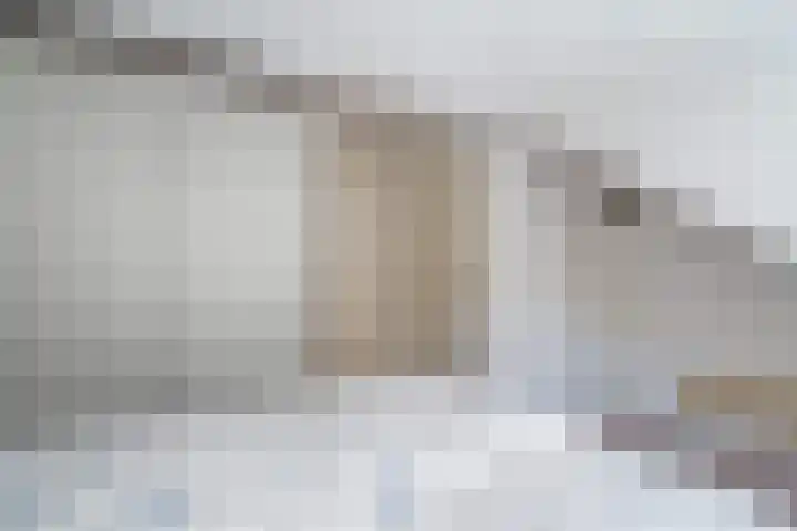Wilhelminastraat 60 Bodegraven thumbnail 5