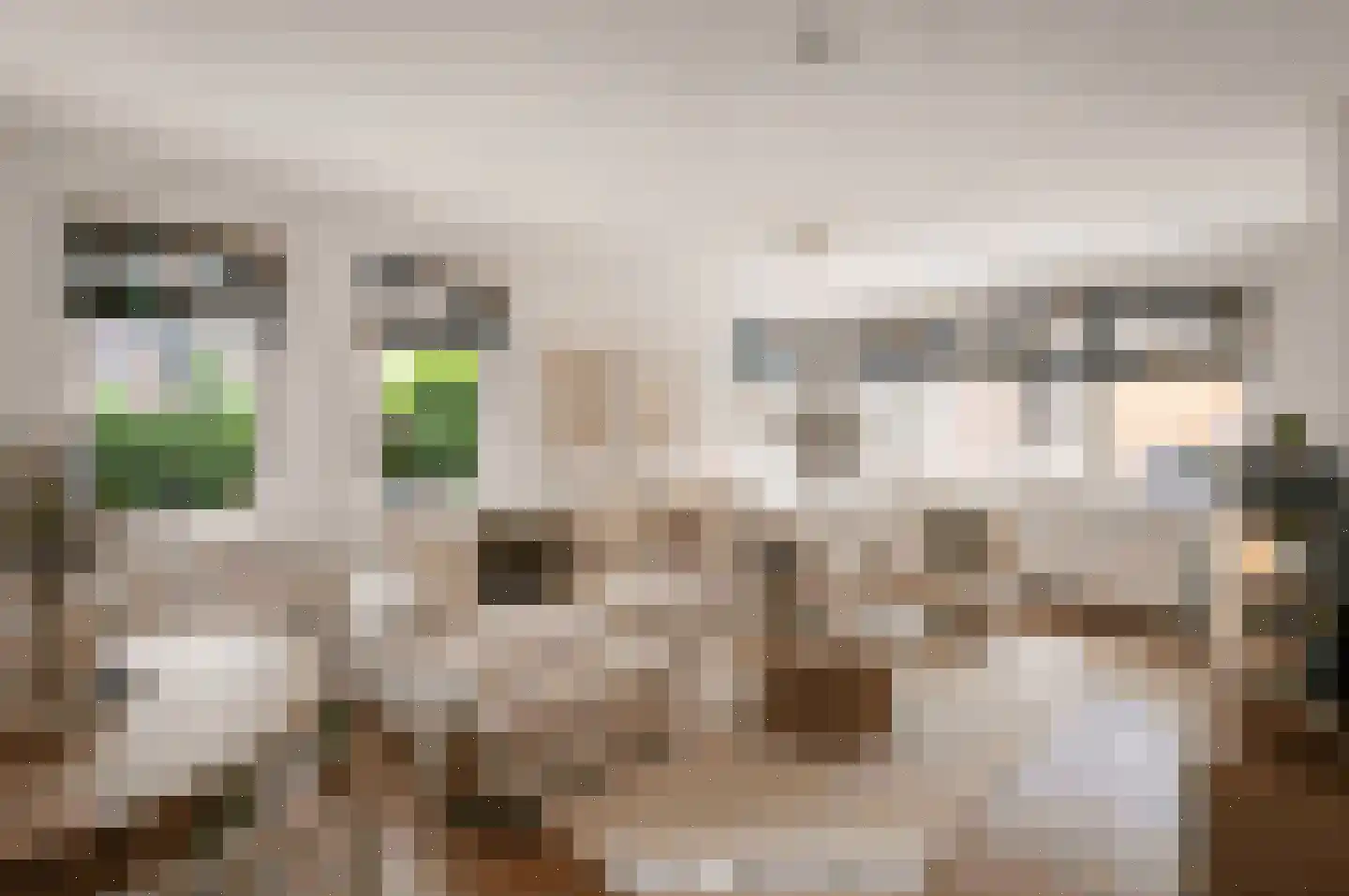 Wilhelminastraat 60 Bodegraven thumbnail 8