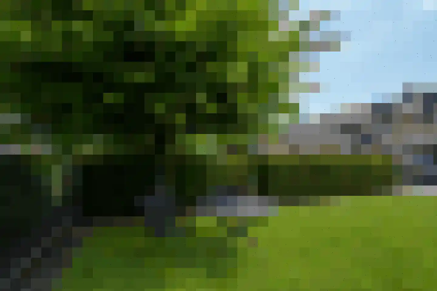 Wilhelminastraat 61 Epen thumbnail 33