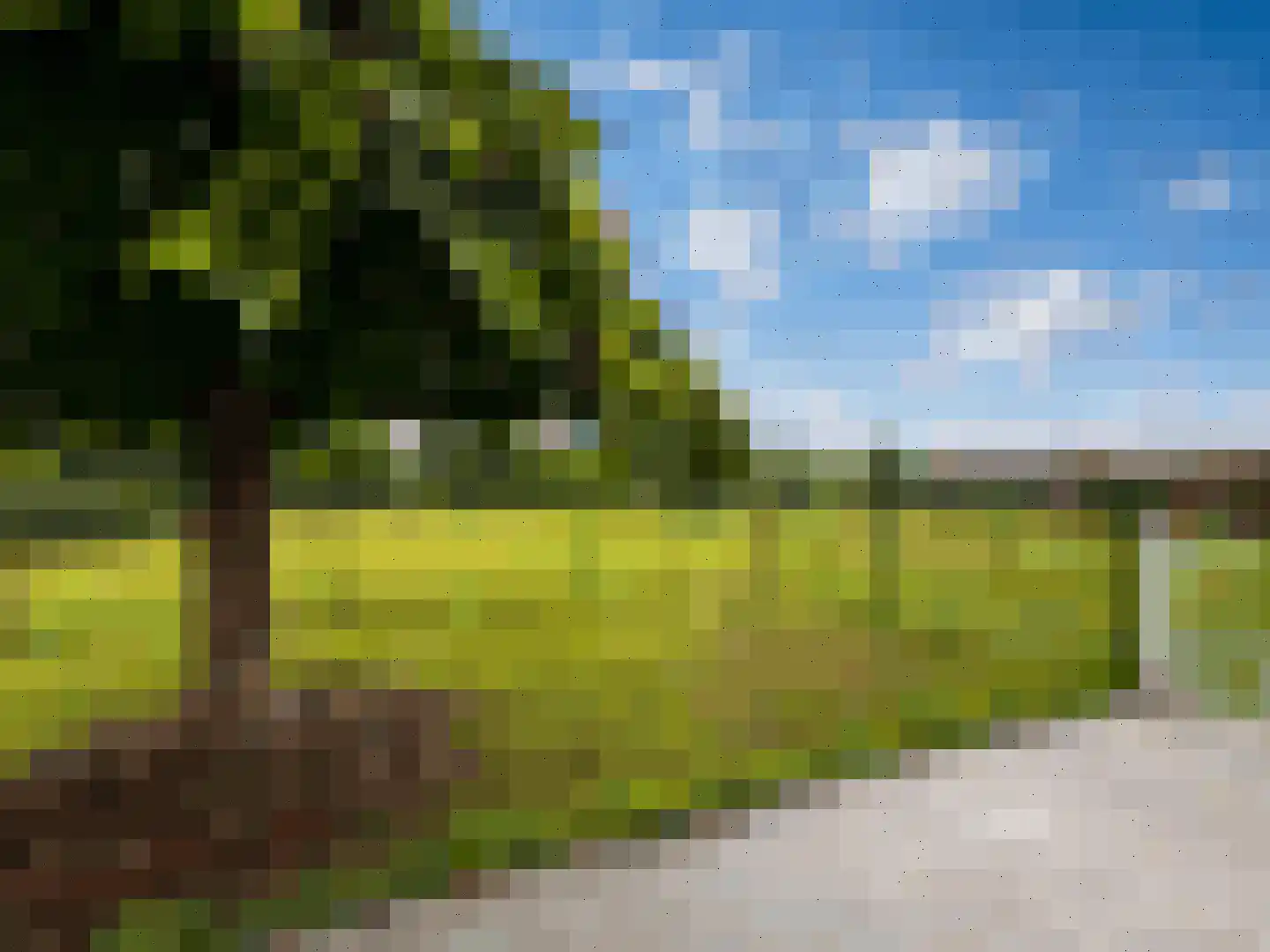 Wilhelminastraat 61 Epen thumbnail 36