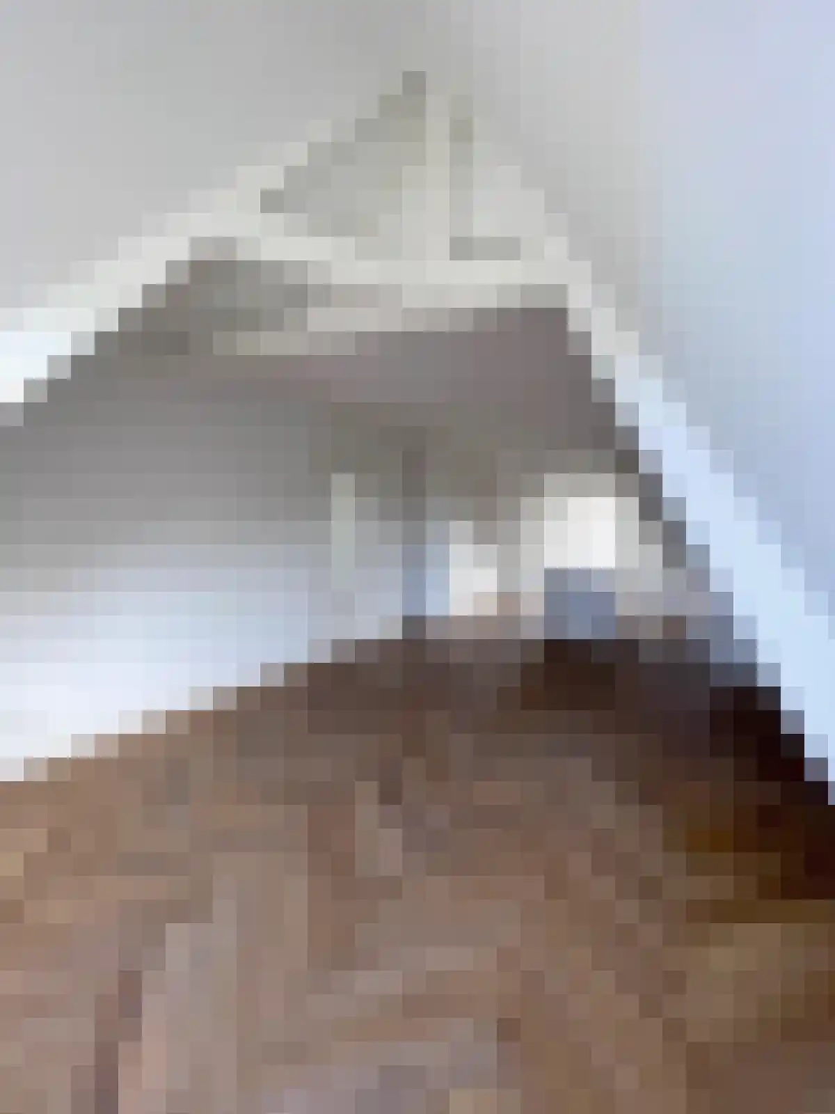 Wilhelminastraat 61 Haarlem thumbnail 4