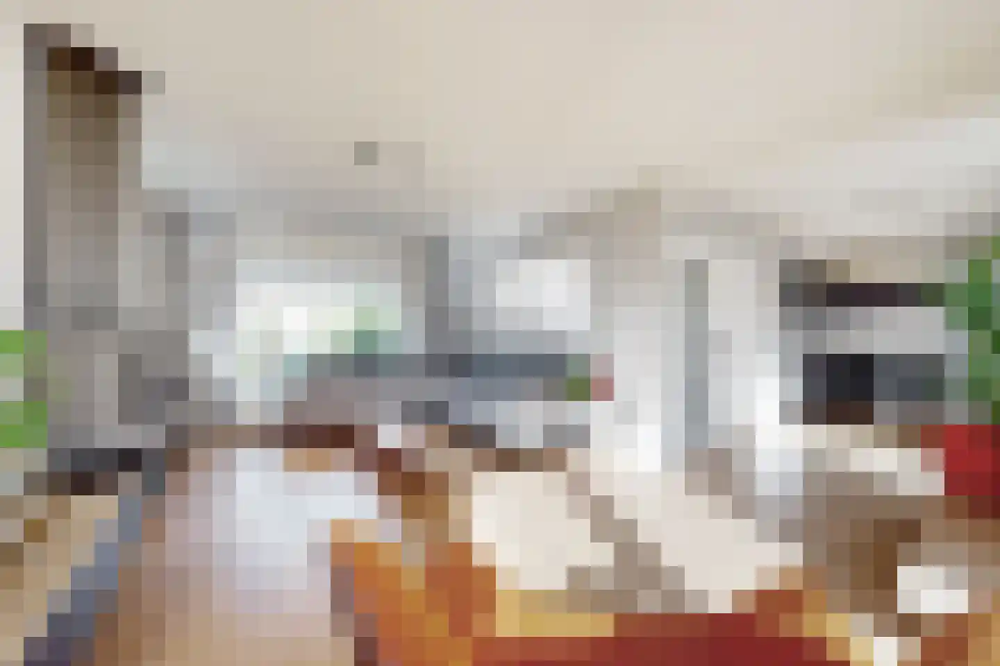 Wilhelminastraat 62 Fijnaart thumbnail 18
