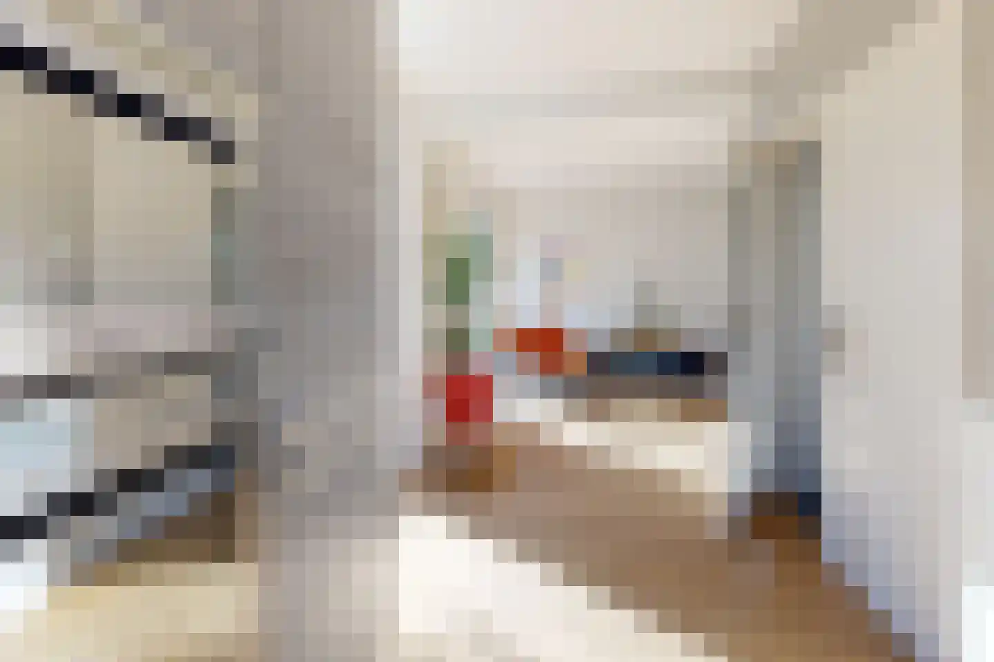 Wilhelminastraat 62 Fijnaart thumbnail 20