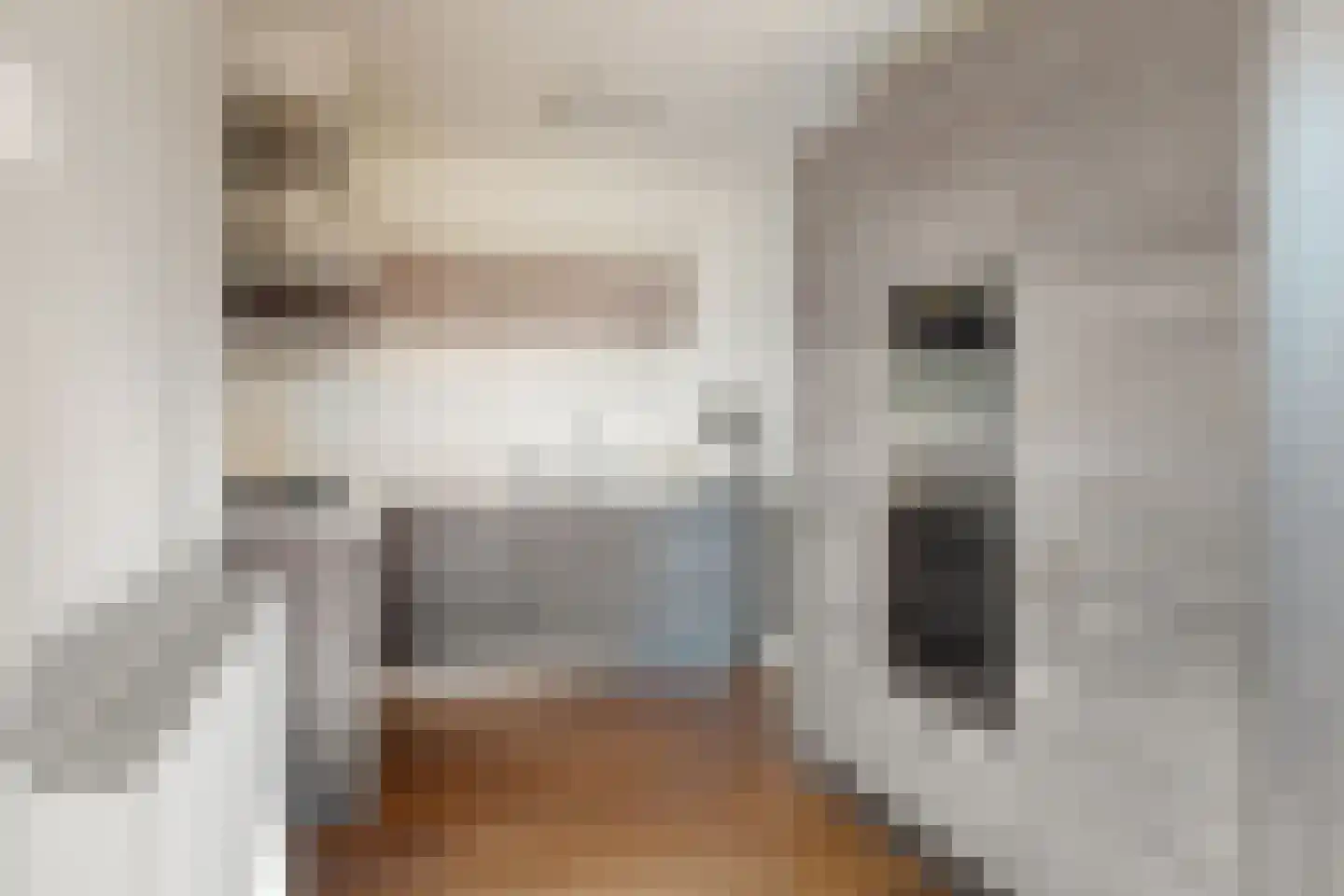 Wilhelminastraat 62 Fijnaart thumbnail 21