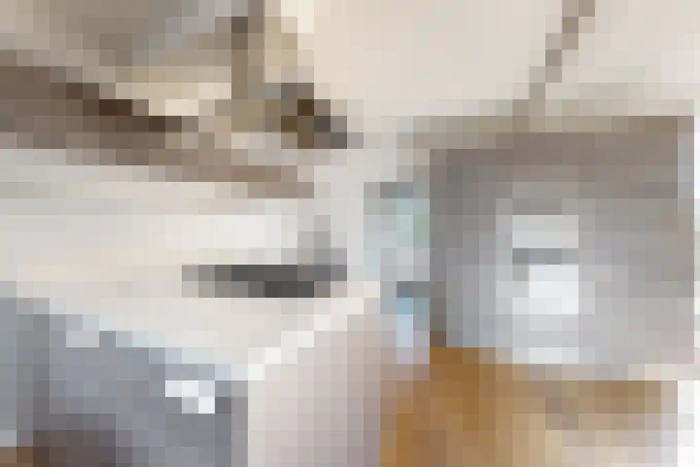 Wilhelminastraat 62 Fijnaart thumbnail 25