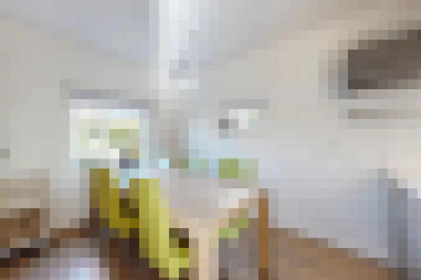 Wilhelminastraat 62 Fijnaart thumbnail 28