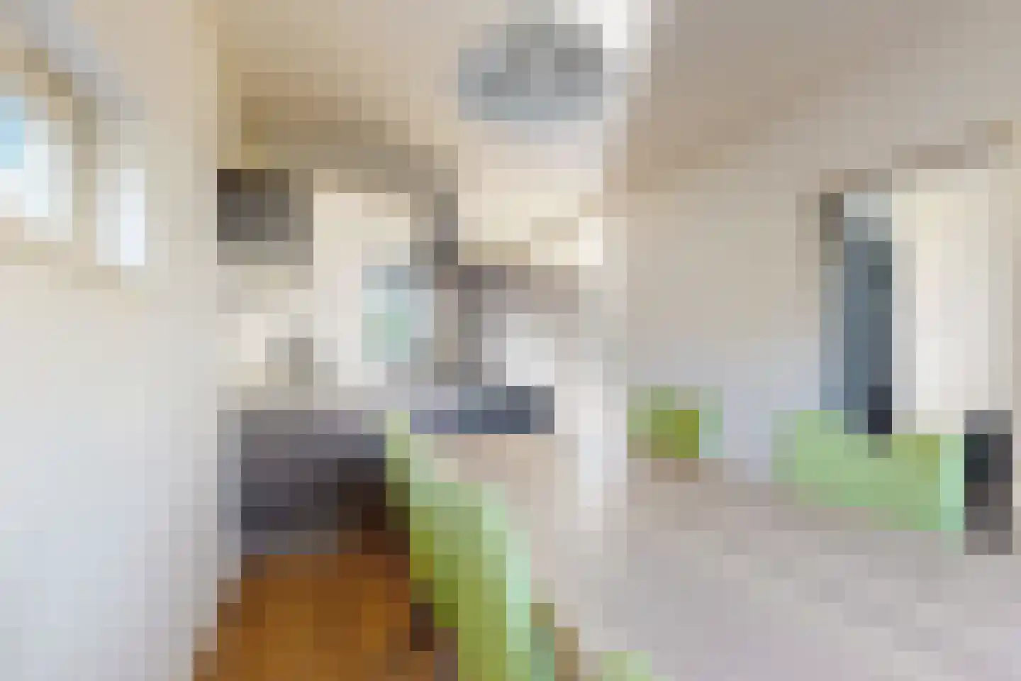 Wilhelminastraat 62 Fijnaart thumbnail 30