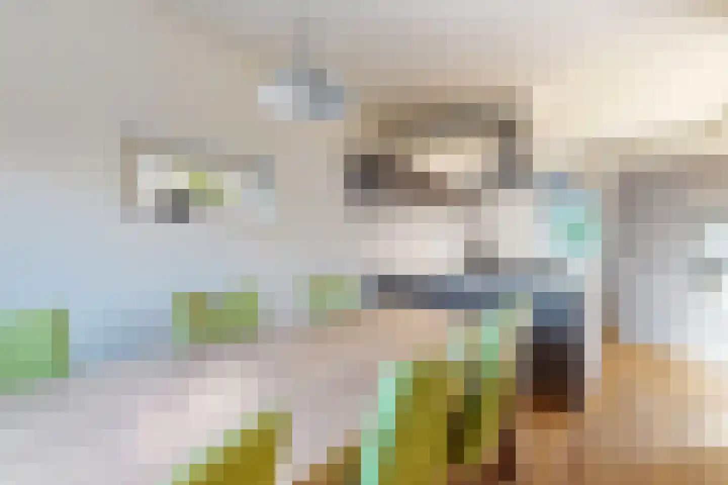 Wilhelminastraat 62 Fijnaart thumbnail 31