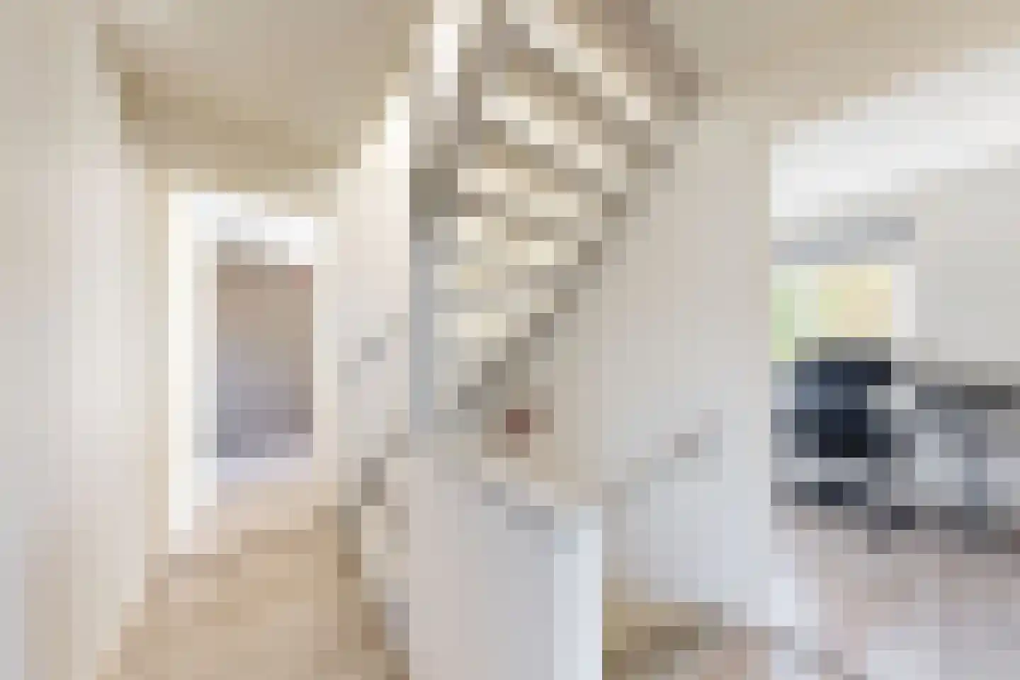 Wilhelminastraat 62 Fijnaart thumbnail 32