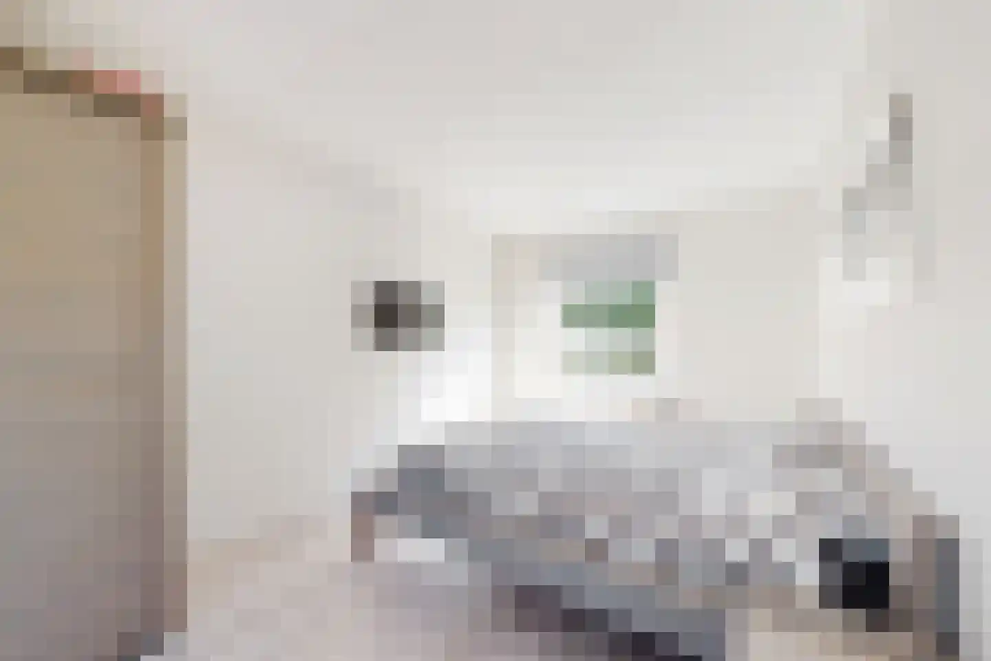 Wilhelminastraat 62 Fijnaart thumbnail 36