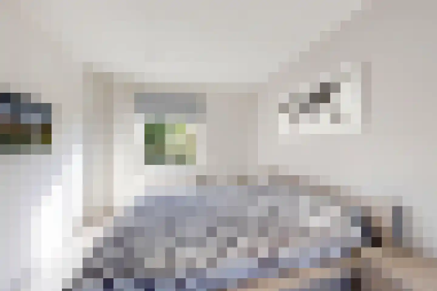 Wilhelminastraat 62 Fijnaart thumbnail 38