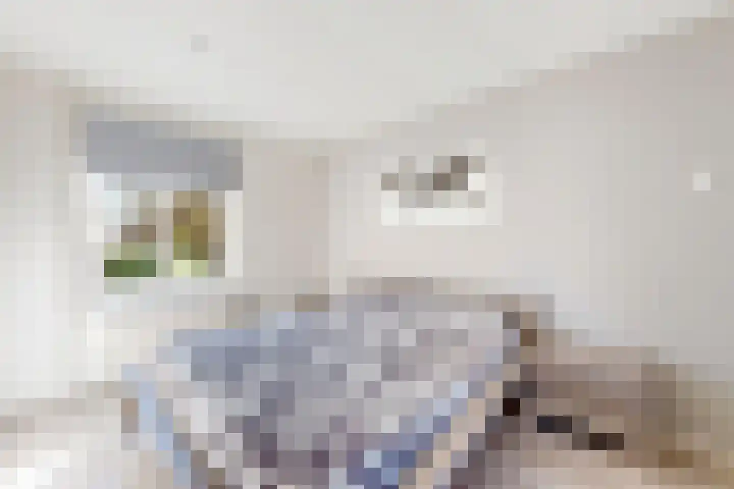 Wilhelminastraat 62 Fijnaart thumbnail 40