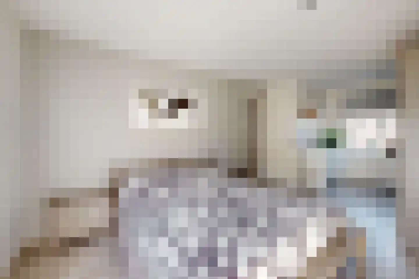 Wilhelminastraat 62 Fijnaart thumbnail 5