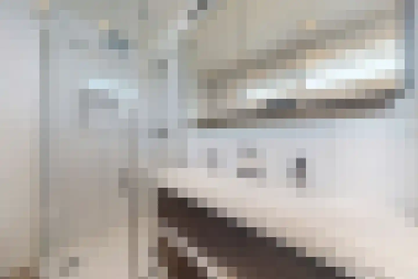 Wilhelminastraat 62 Fijnaart thumbnail 53
