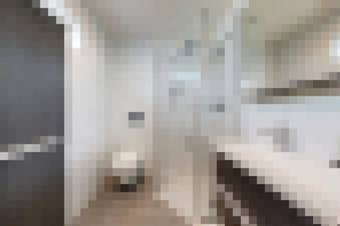 Wilhelminastraat 62 Fijnaart thumbnail 56