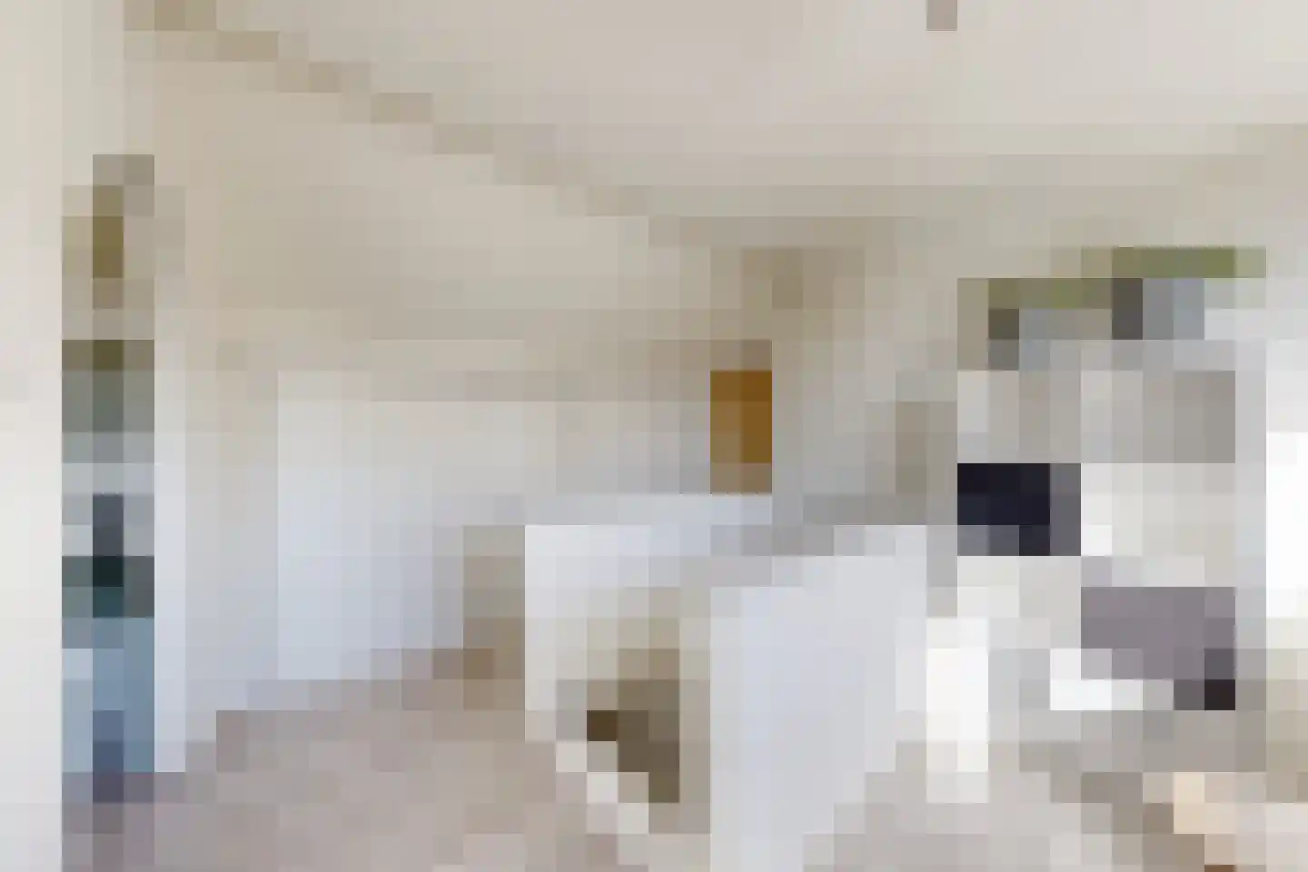 Wilhelminastraat 62 Fijnaart thumbnail 61