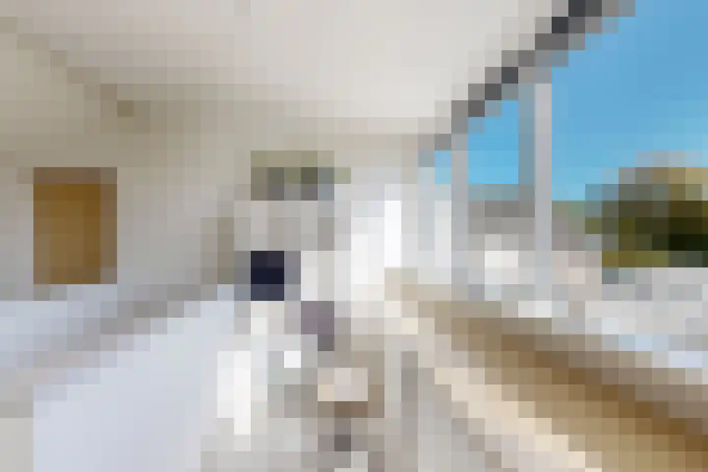 Wilhelminastraat 62 Fijnaart thumbnail 62