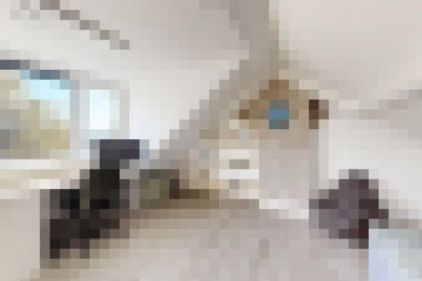 Wilhelminastraat 62 Fijnaart thumbnail 65