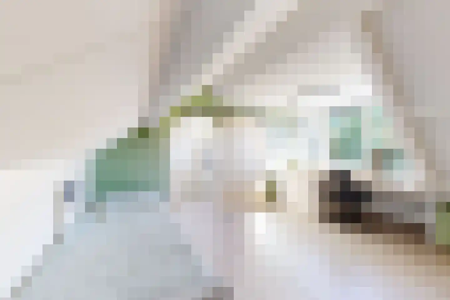 Wilhelminastraat 62 Fijnaart thumbnail 68