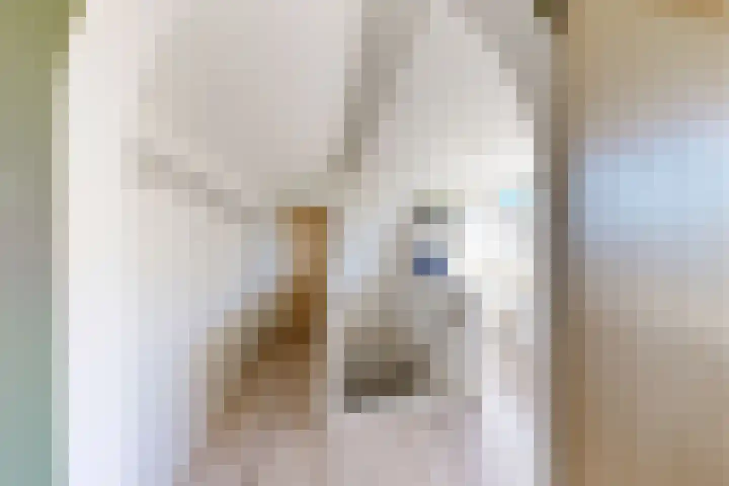 Wilhelminastraat 62 Fijnaart thumbnail 69