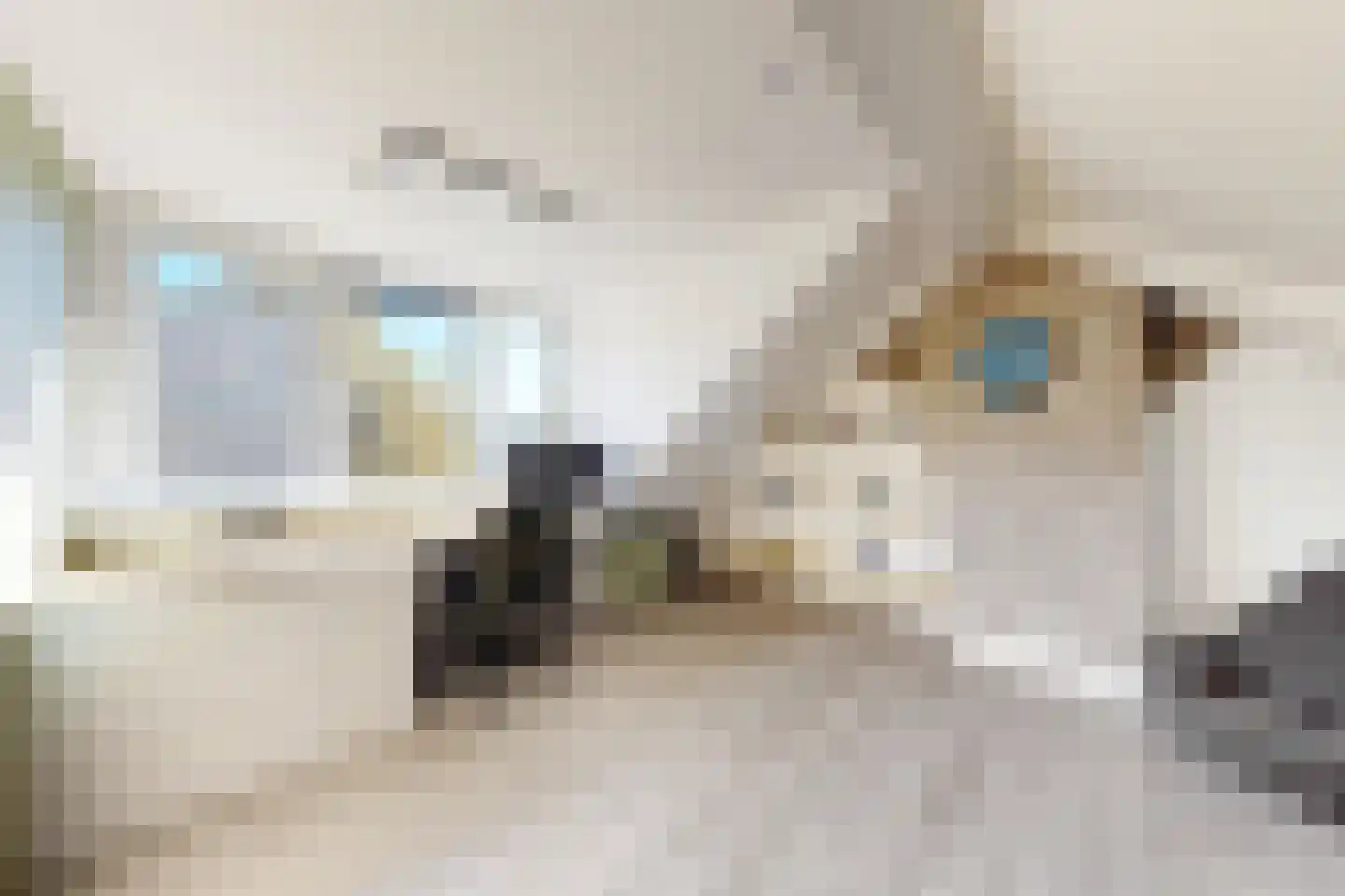 Wilhelminastraat 62 Fijnaart thumbnail 70