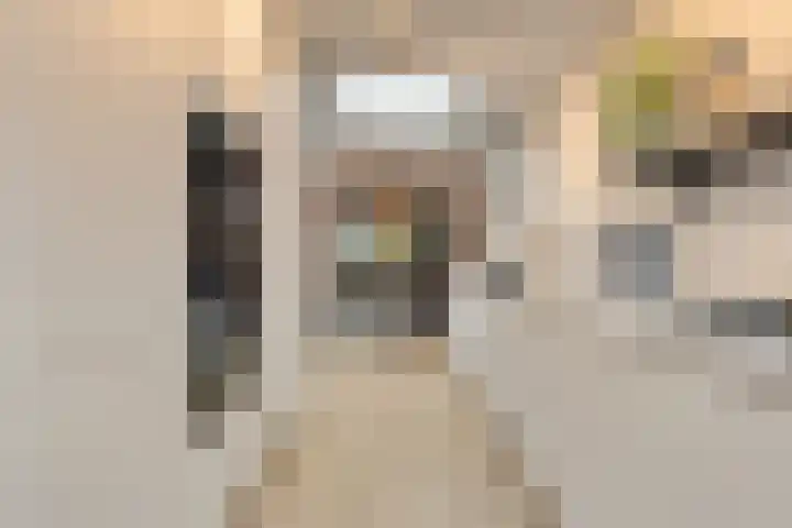 Wilhelminastraat 62 Krabbendijke thumbnail 13