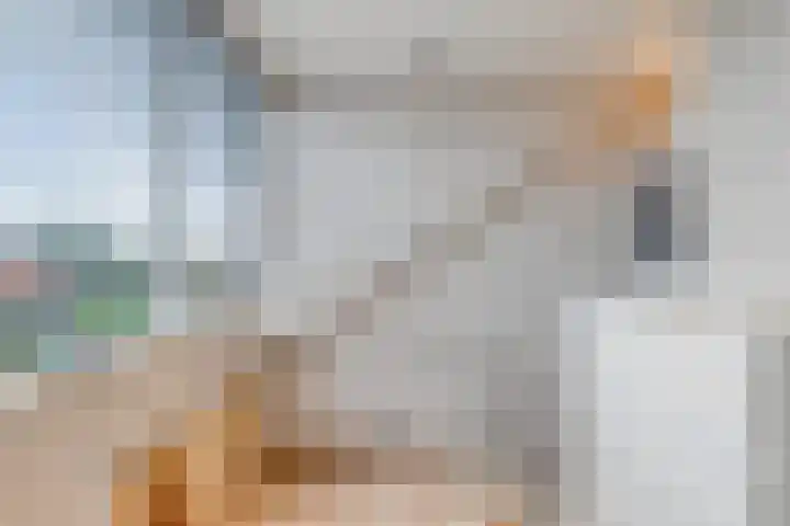 Wilhelminastraat 62 Krabbendijke thumbnail 27
