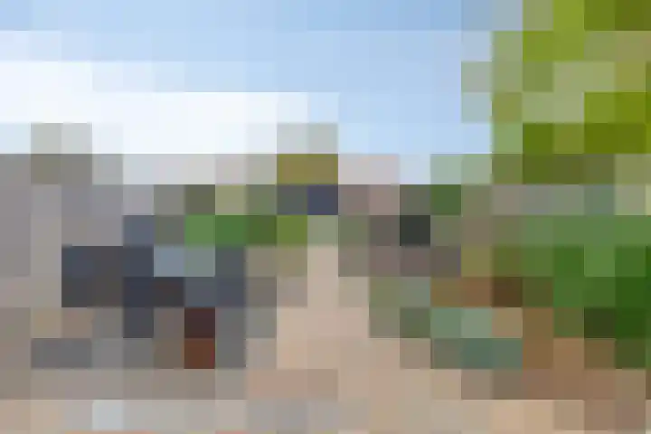 Wilhelminastraat 62 Krabbendijke thumbnail 28