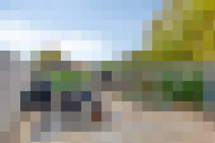 Wilhelminastraat 62 Krabbendijke thumbnail 29