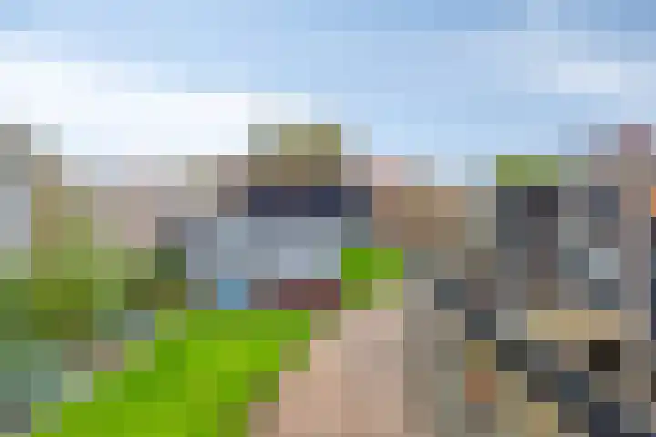Wilhelminastraat 62 Krabbendijke thumbnail 30