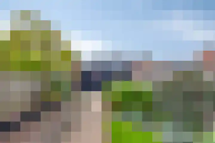Wilhelminastraat 62 Krabbendijke thumbnail 32