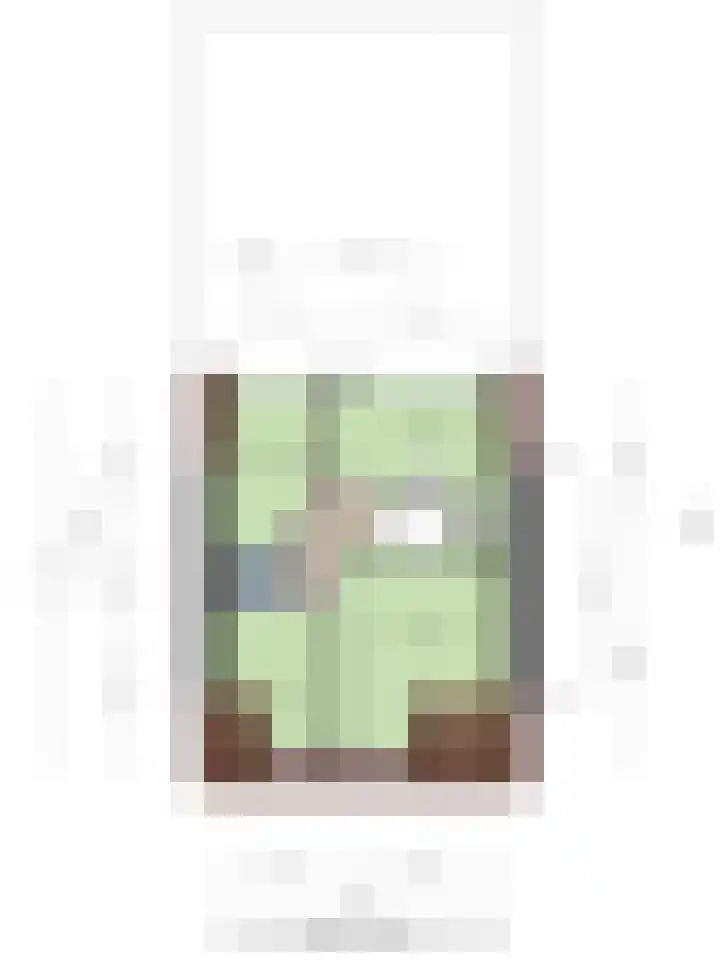 Wilhelminastraat 62 Krabbendijke thumbnail 38
