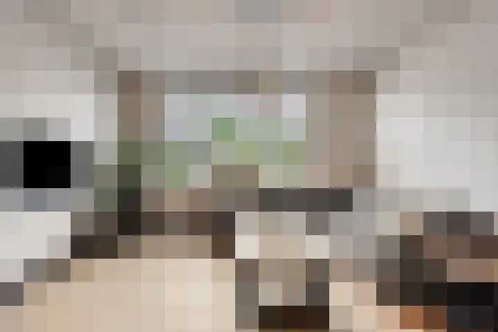 Wilhelminastraat 62 Krabbendijke thumbnail 8