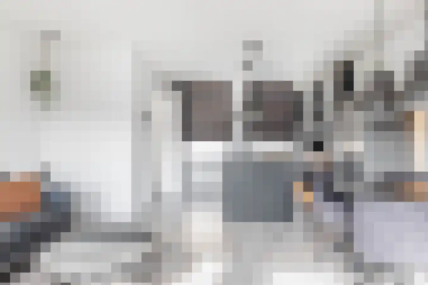 Wilhelminastraat 62 Krommenie thumbnail 14