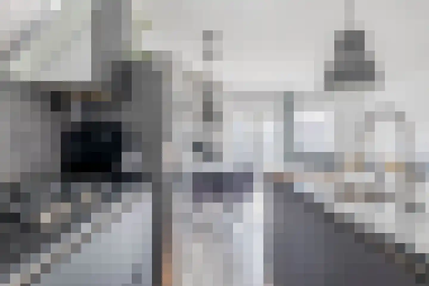 Wilhelminastraat 62 Krommenie thumbnail 16