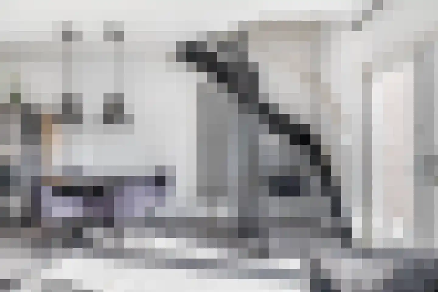 Wilhelminastraat 62 Krommenie thumbnail 4