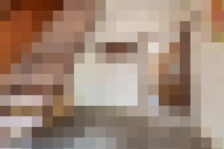 Wilhelminastraat 64 Vlagtwedde thumbnail 26