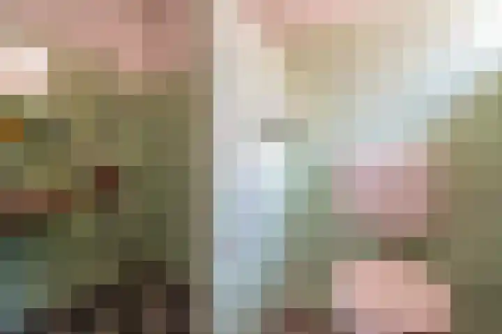 Wilhelminastraat 64 Vlagtwedde thumbnail 30