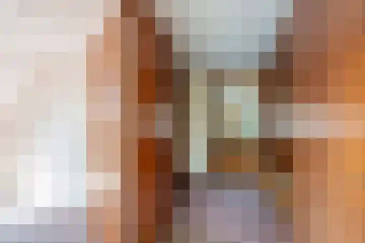 Wilhelminastraat 64 Vlagtwedde thumbnail 35