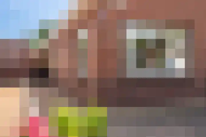 Wilhelminastraat 64 Vlagtwedde thumbnail 6
