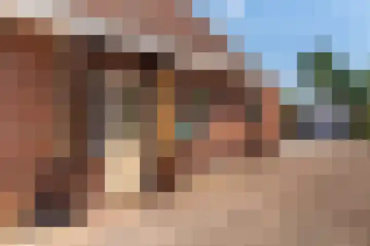 Wilhelminastraat 64 Vlagtwedde thumbnail 8