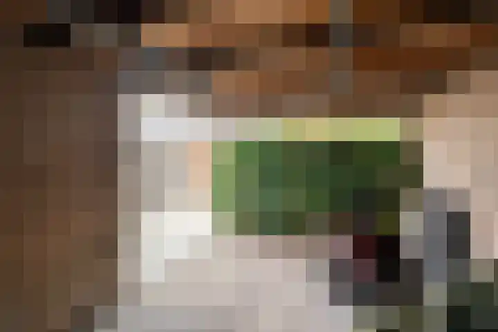Wilhelminastraat 66 Rijen thumbnail 41