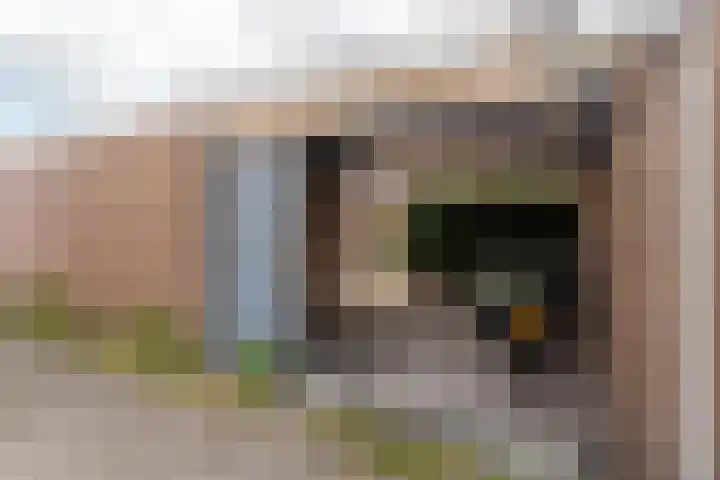 Wilhelminastraat 66 Rijen thumbnail 42