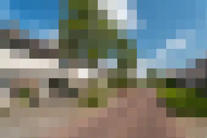 Wilhelminastraat 66 Rijen thumbnail 44
