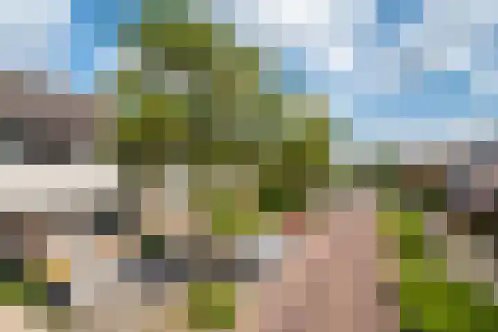 Wilhelminastraat 66 Rijen thumbnail 47