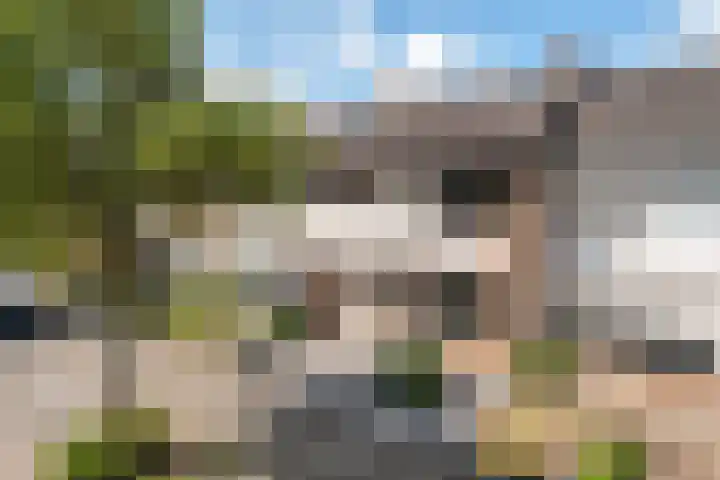 Wilhelminastraat 66 Rijen thumbnail 7