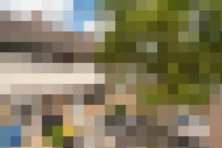 Wilhelminastraat 66 Rijen thumbnail 8